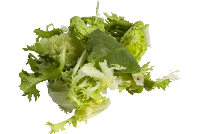 Little gem frisee mix zak 500gr